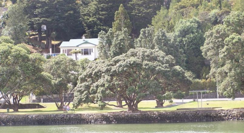 Kauri Nest