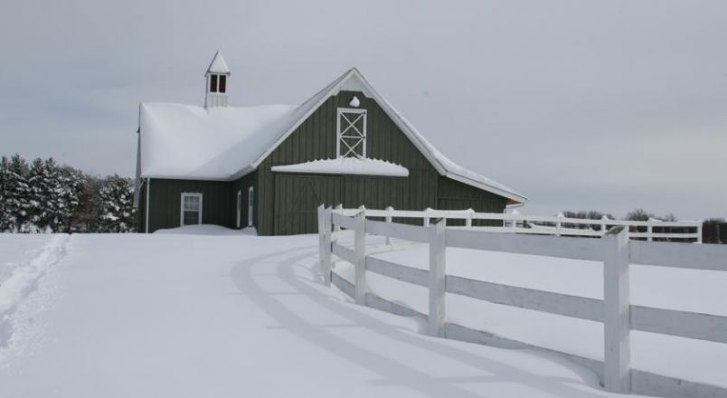 Four Points Alpacas B&B